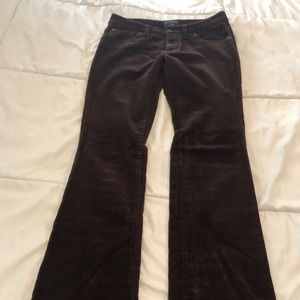 The Limited Brown Corduroy Jeans Stretch, boot cut